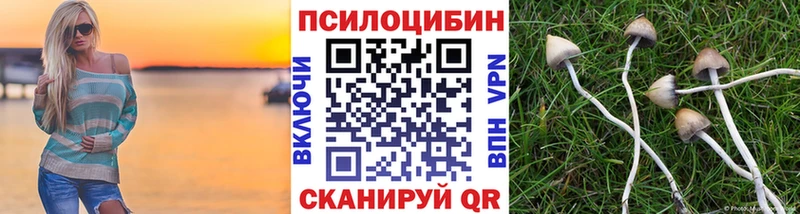 Псилоцибиновые грибы ЛСД  где можно купить   mega   Новокузнецк 